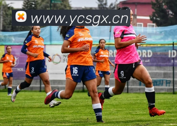 米兰体育网页官网APP 封面图